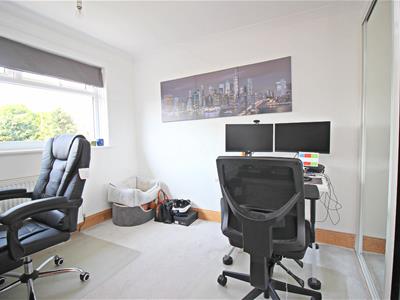 Picture 14